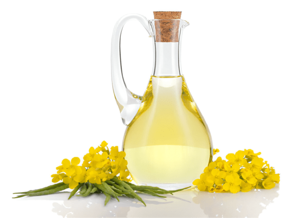 Canola Oil