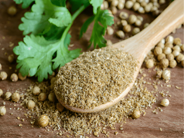 Coriander