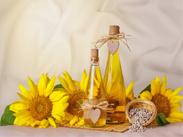 Sunflower Oil